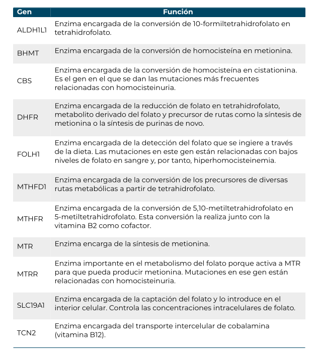 Portada del informe genético MyFolate de Overgenes