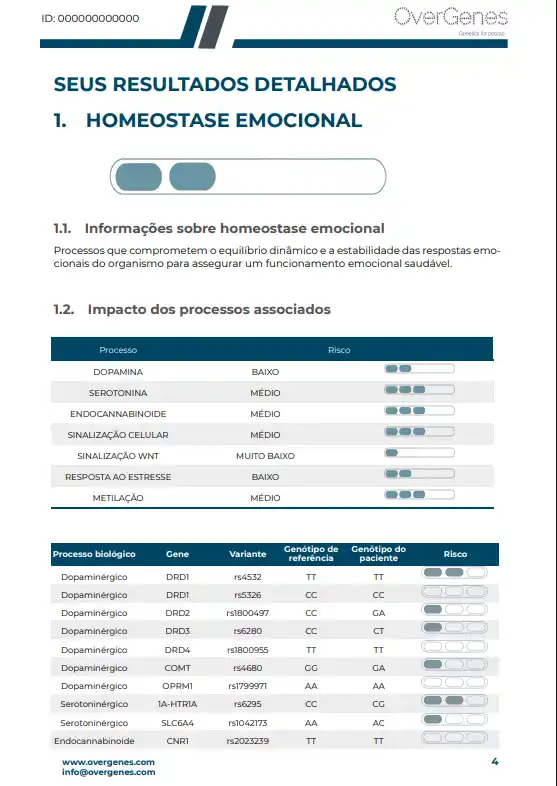 Exemplo de resultados do relatório genético MyNeuro